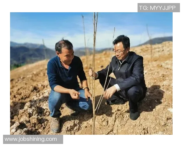 梁涛足球:探索中国足球的未来与发展之路,激发年轻一代的热情与梦想