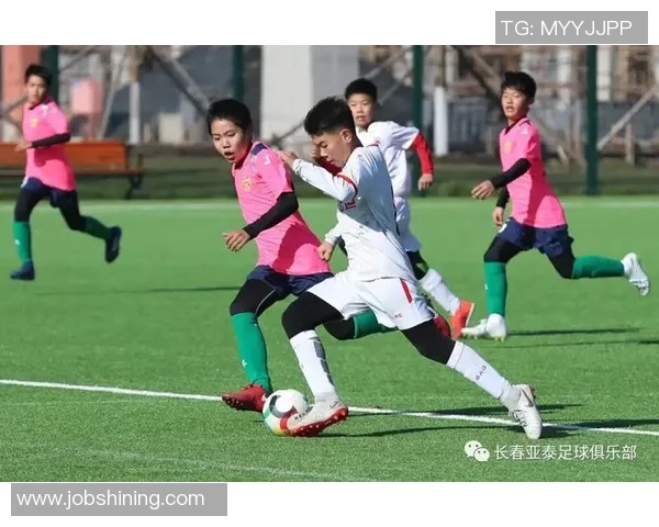 沈阳足球装备市场分析与发展趋势探讨助力本地足球事业腾飞